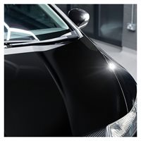 Autoglym Advanced Paint Restorer 500ml