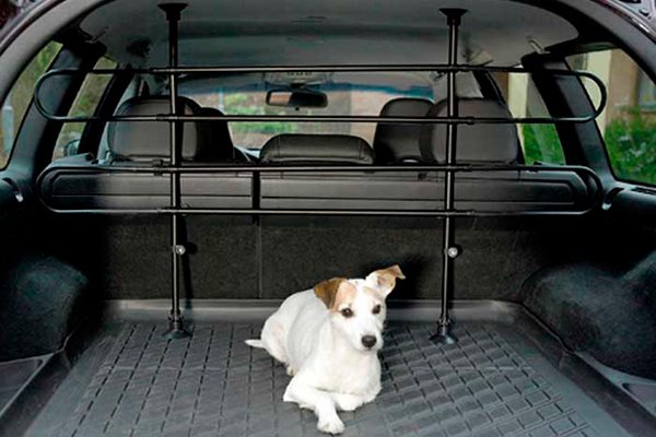 tunge kronblad bekymring Sikkerhed for hund i bil