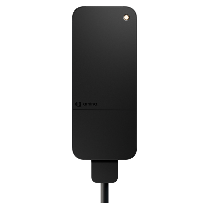 Amina S Ladeboks 11kW/20A 3-faset 6 Meter