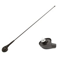 Antenne AM/FM OEM Renault passiv