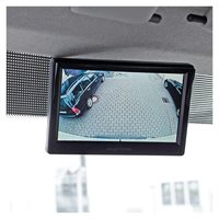 Ampire 5" monitor