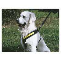 Hundesele MIMsafe Allsafe - Medium