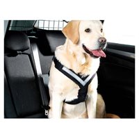 Hundesele MIMsafe Allsafe- X-Large