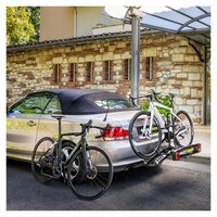 Buzzrack Twinbuzz Cykelholder og bagageplatform 13-pol