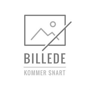 Climair vindafviser Skoda Fabia IV (PJ3) 2021 - 5dr