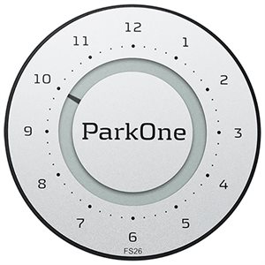 Parkone 2 titanium silver
