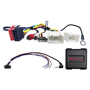 Ratinterface Cit/Fiat/Mitsubishi/Peugeot 20Pin