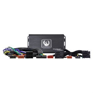 Phoenix Gold Forstærker kit til Citroën, Peugeot 2015-