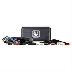 Phoenix Gold Forstærker kit til Daewoo,SsangYong 2005-