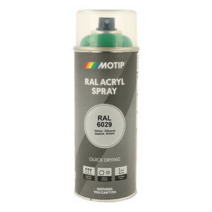 Motip Ral 6029 high gloss mint green