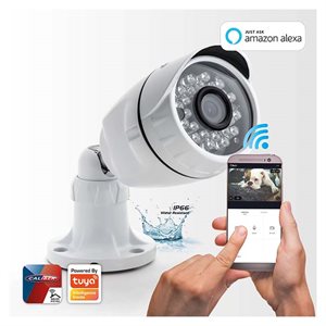 Caliber udendørs IP-kamera med motion detektor